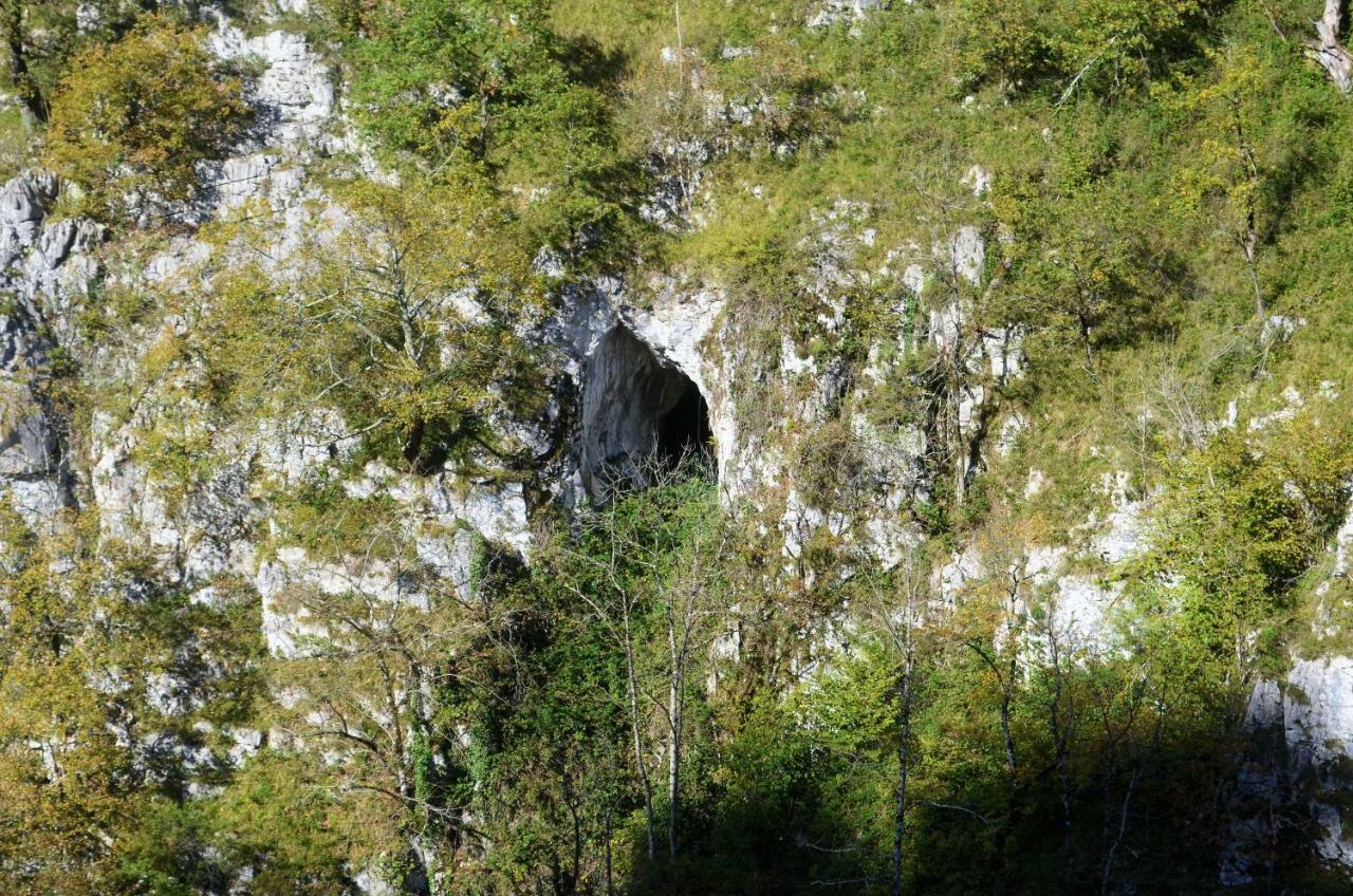Le Gite Des Mousquetaires Lanne-en-Baretous Exterior photo